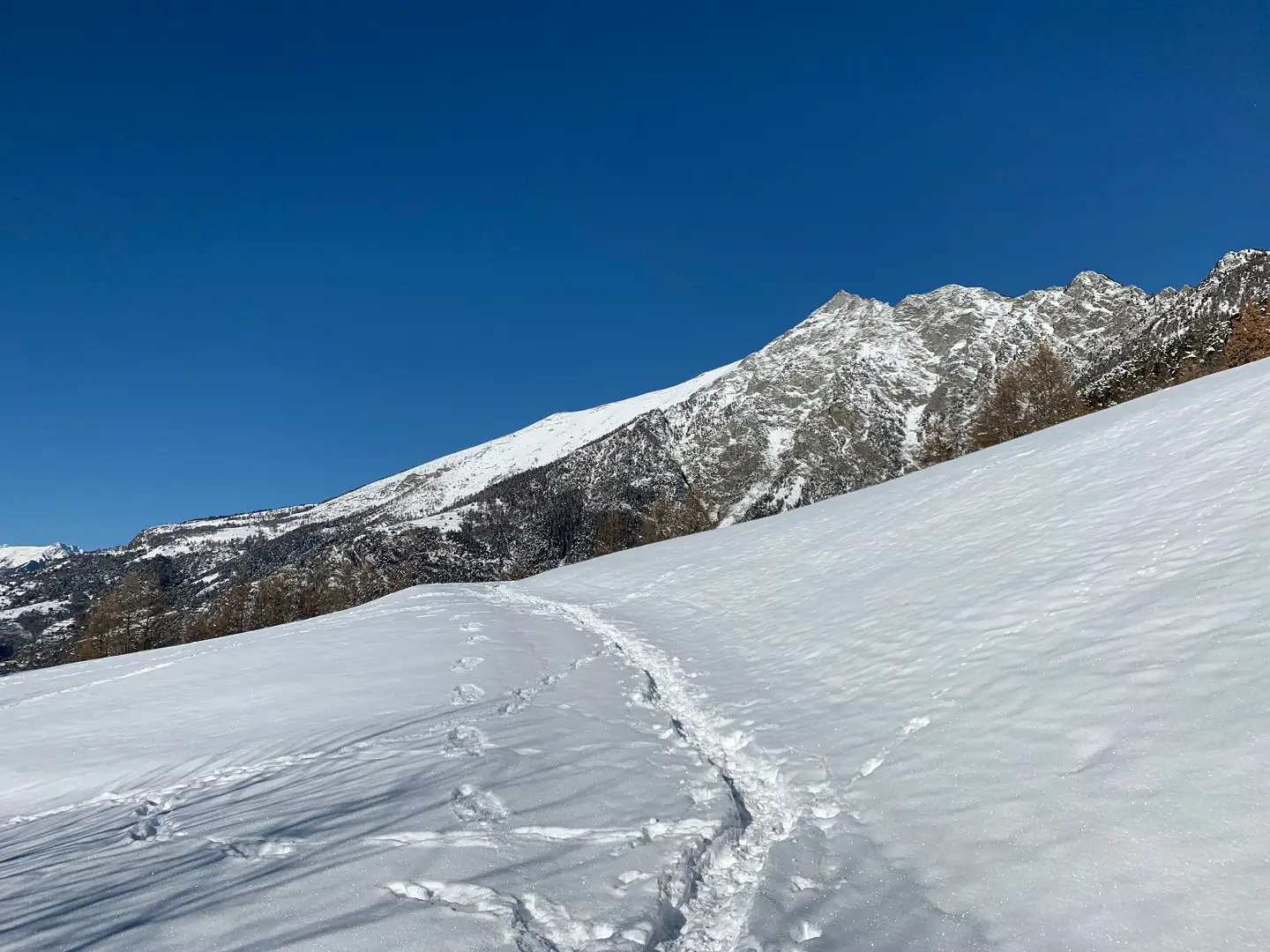 Monte Zerbion